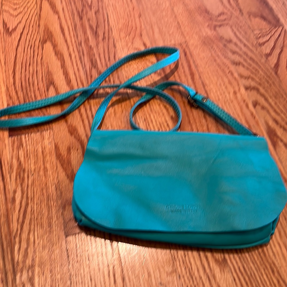 Teal purse